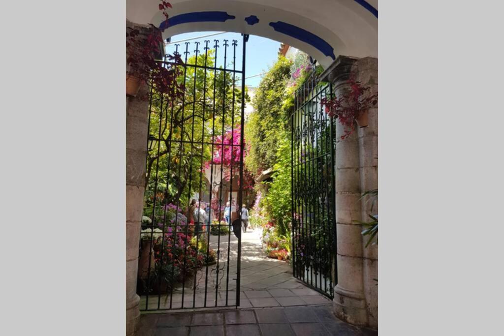 Apartamento San Pedro-Corredera コルドバ エクステリア 写真