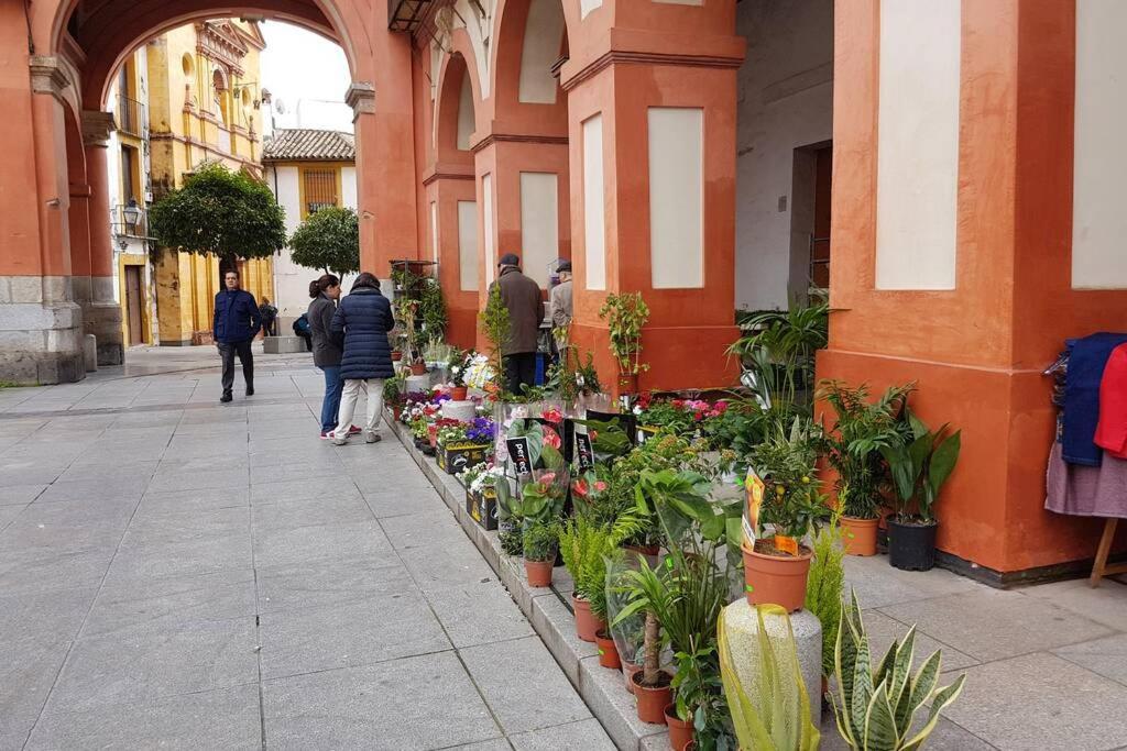 Apartamento San Pedro-Corredera コルドバ エクステリア 写真